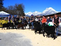 2019_ausstellung polling_335